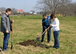 Actions “Clean Environment” and “Plant a Tree”